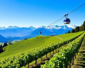 Aigle: Weingüter und Seilbahnfahrten in die Alpen