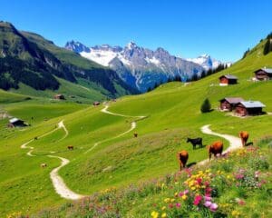 Appenzell: Wanderwege und Traditionen im Alpstein