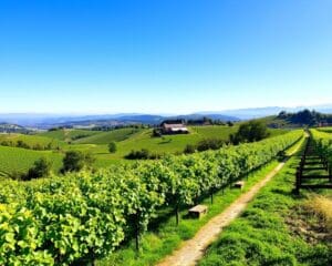 Aubonne: Weinberge und Panoramawege in der Romandie