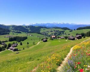 Burgdorf: Wanderungen in der Emmental-Region und Schlossbesuch