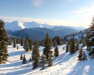 Col des Mosses: Wandern und Langlaufen im Waadtland