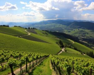 Cuneo: Weintouren und Bergwege im Piemont entdecken