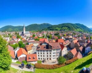 Feldkirch: Stadtführung und Bergwanderwege