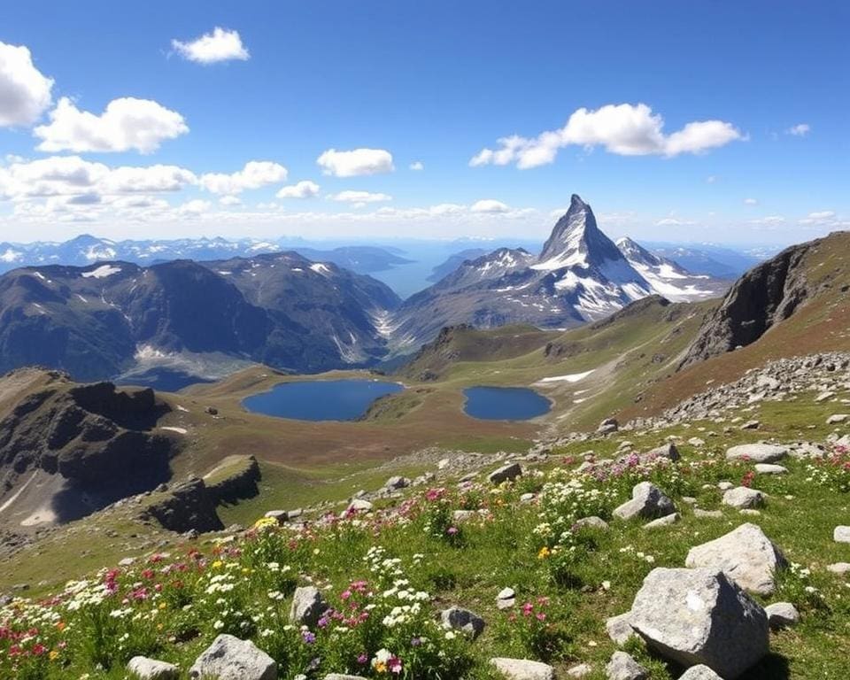 Gornergrat und Landschaft