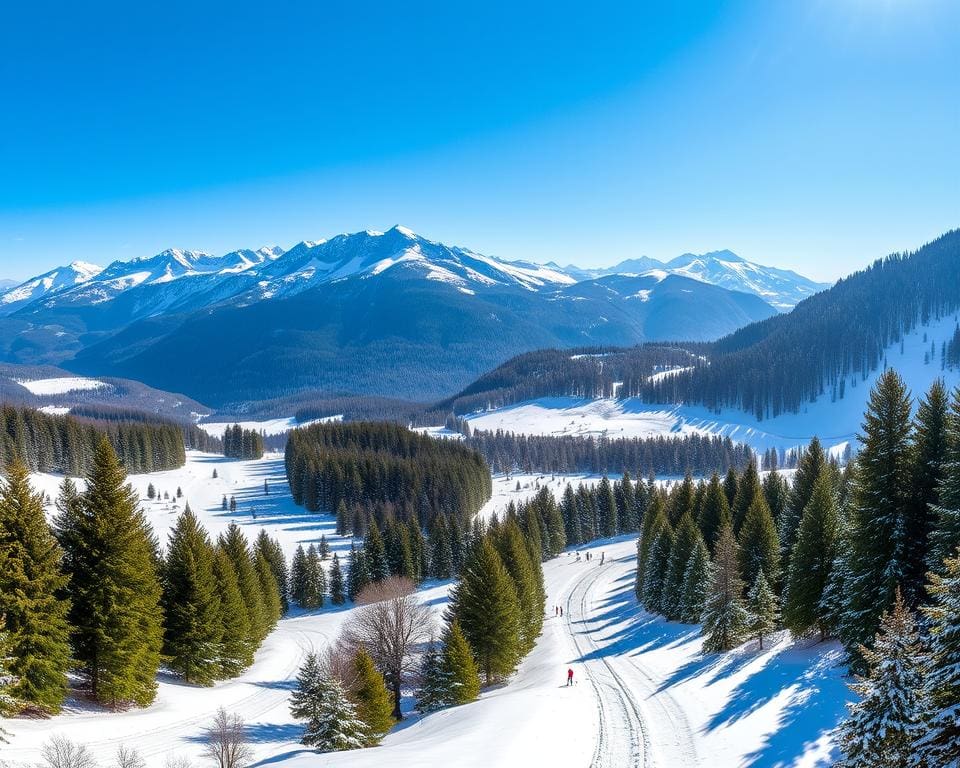 Gosau: Dachstein und Langlaufloipen