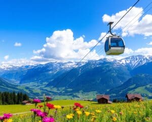 Le Grand-Bornand: Seilbahnfahrten und atemberaubende Bergpanoramen