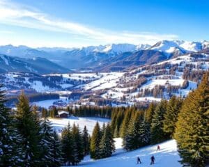 Leysin: Atemberaubende Abfahrten im Skigebiet Les Mosses