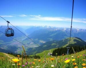 Leysin: Panoramabahnfahrten und Bergtouren