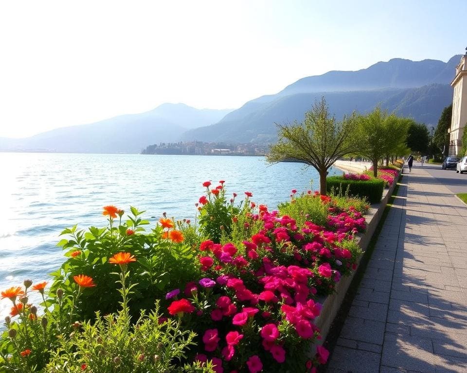 Locarno Lago Maggiore Ufer erkunden