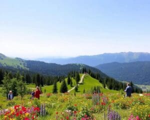 Montchavin: Familienfreundliche Wanderwege und Erholung in der Natur