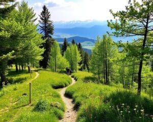 Orelle: Entspannte Wanderwege für Genießer in der Natur