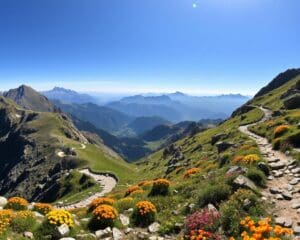 Pizol: Höhenwanderungen und Panoramasicht