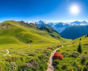 Riederalp: Panoramawanderungen in der UNESCO-Region