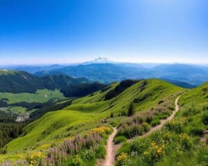 Saint-Jean-de-Sixt: Panorama-Wanderungen mit Blick auf den Mont Blanc