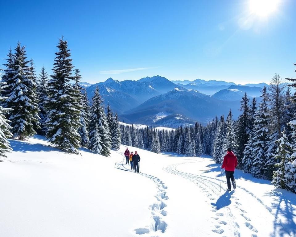 Schneeschuhwandern in La Toussuire