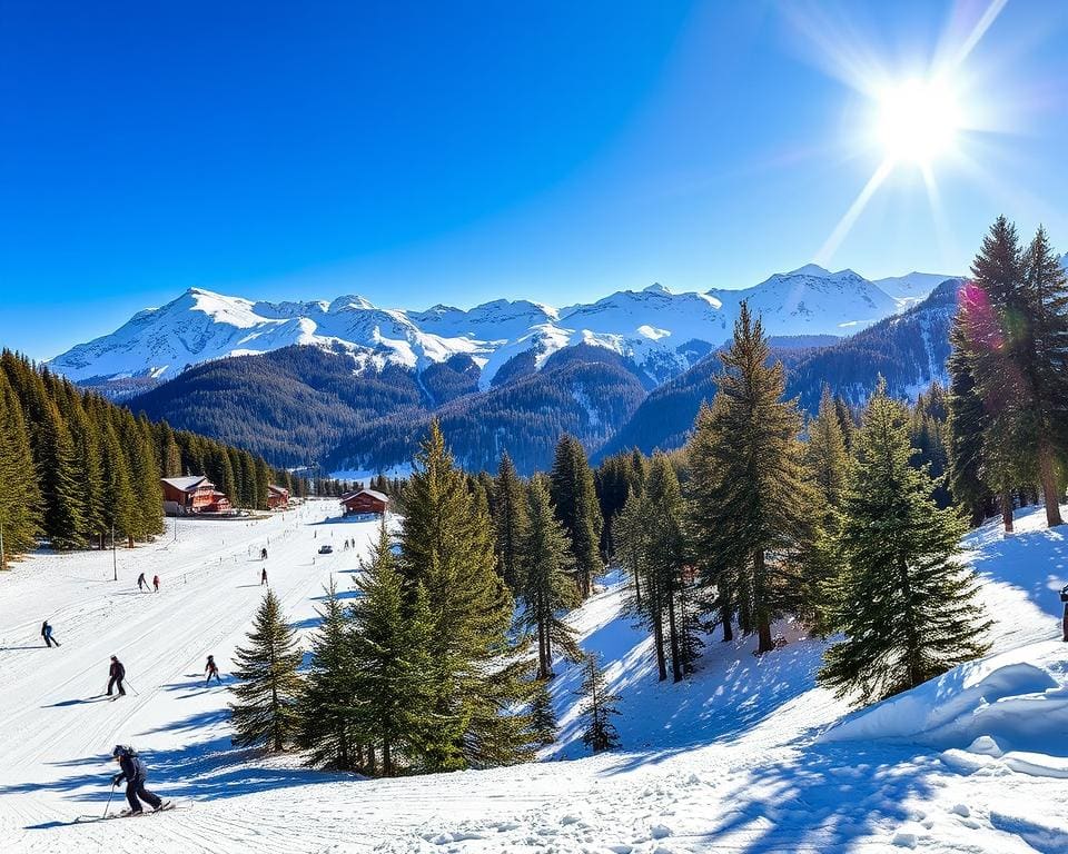 Skigebiet La Foux d’Allos