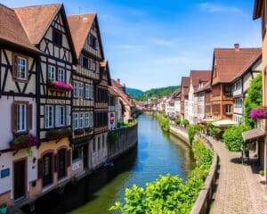 Stein am Rhein: Altstadtrundgang und Rhein-Erlebnis