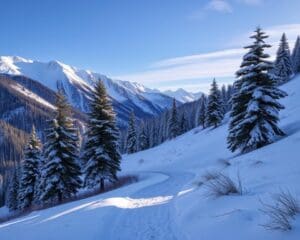 Val-d’Allos: Winterwanderungen durch unberührte Schneelandschaften