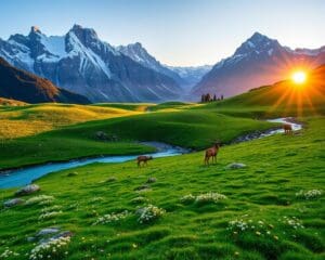 Zernez: Naturerlebnisse im Schweizer Nationalpark