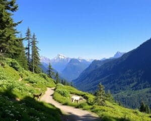 Zernez: Naturpfade und Tierbeobachtungen im Nationalpark