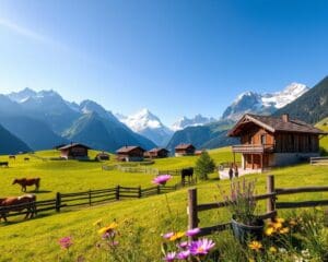 Bergbauernhöfe besuchen: Leben in den Alpen