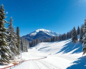 Maria Alm: Hochkönig und Wintererlebnisse