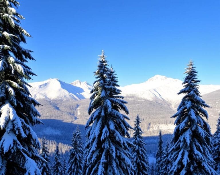 Aschau im Chiemgau: Berge, Schnee und Abenteuer