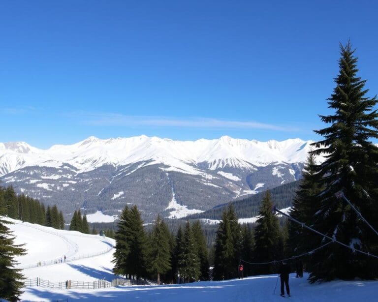 Bayrischzell: Natur pur auf Skiern und zu Fuß