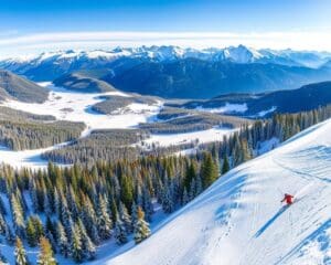 Flims: Freeride und Skigenuss in Graubünden