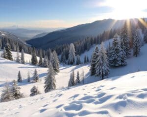 Montchavin: Erholung und Winterwanderungen in ruhigen Tälern