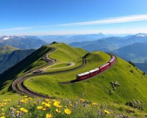 Rigi: Zahnradbahn und Panoramawanderungen erleben