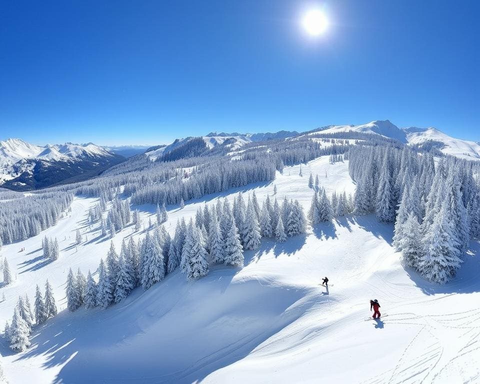 Schneeverhältnisse in Lenzerheide