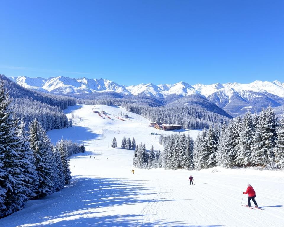 Skigebiet Radstadt Schnee Pisten Wintersport