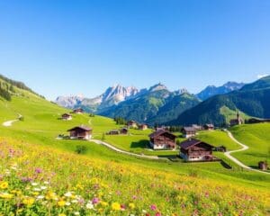 Alpbach: Blumendorf und Bergpfade erkunden