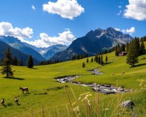 Bischofswiesen: Naturnahe Erlebnisse zu jeder Zeit