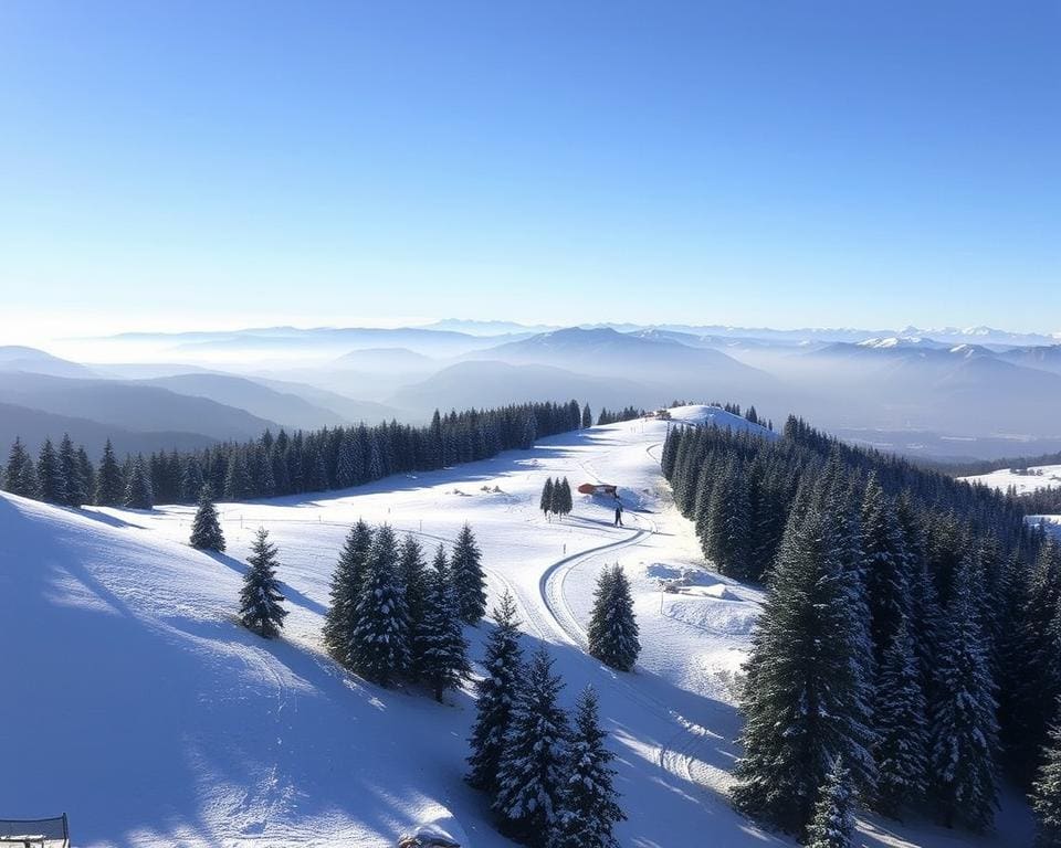 La Giettaz: Gemütliche Pisten und entspannte Wintertage genießen