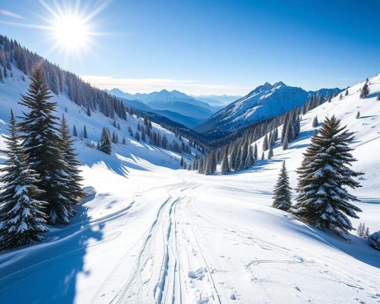 Sainte-Foy: Skifahren in unberührter Natur erleben