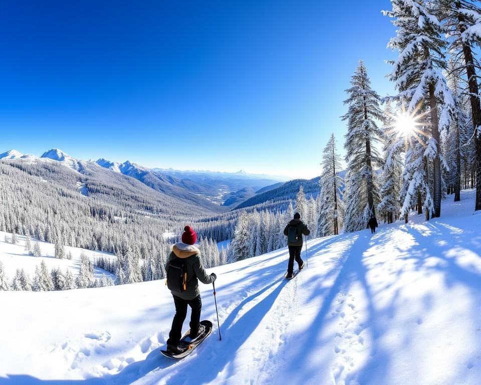 Schneeschuhwandern Mellau