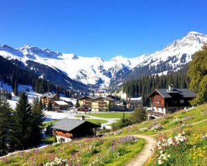 Zell am Ziller: Skicircus und Almwanderungen