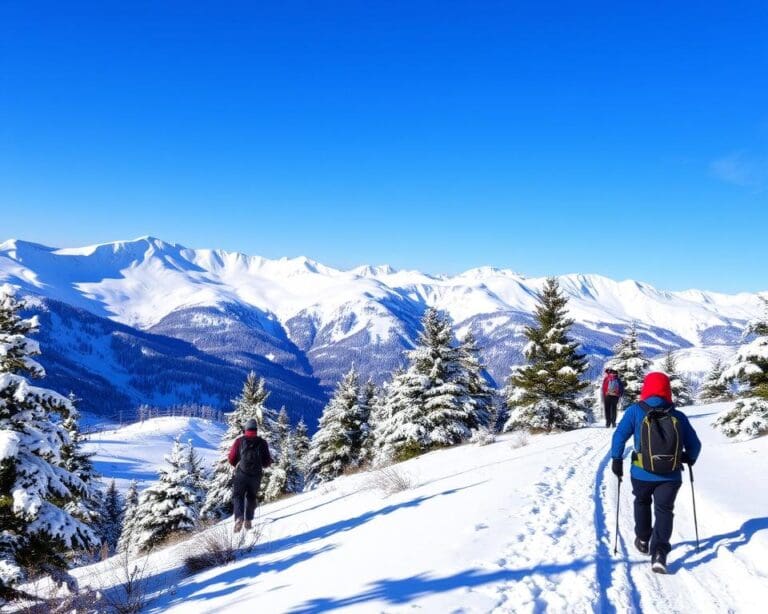 Wackersberg: Skifahren und Wandern in Bayern